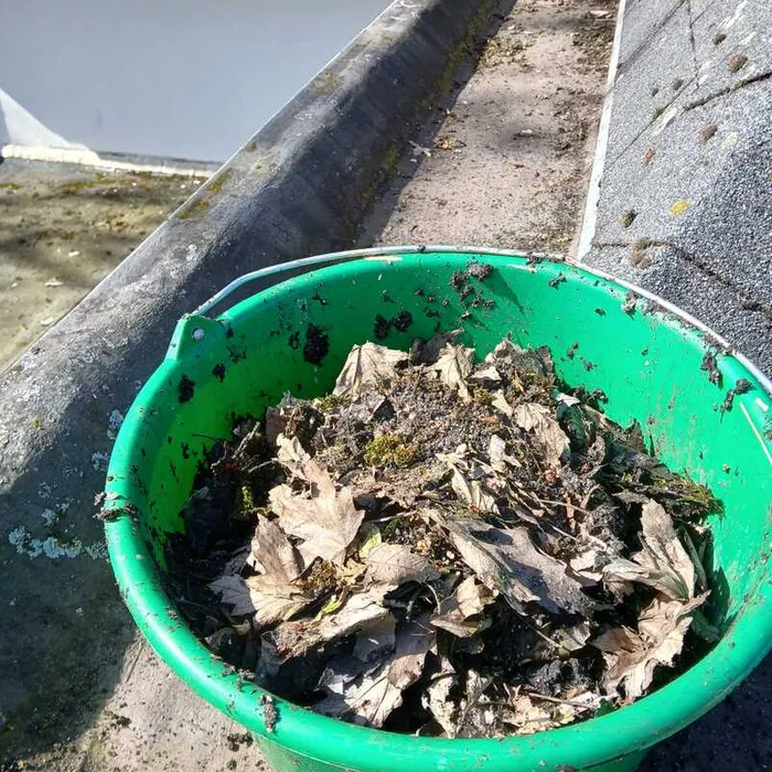 Gevulde goot met bladafval en vuil op villa Haaksbergerstraat Enschede, aangetroffen tijdens inspectie door Schildersbedrijf Bonke & Zn.
