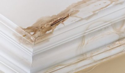 Bonke scjildersbedrijf waterschade houtrot lekkage muur plafond wegwerken