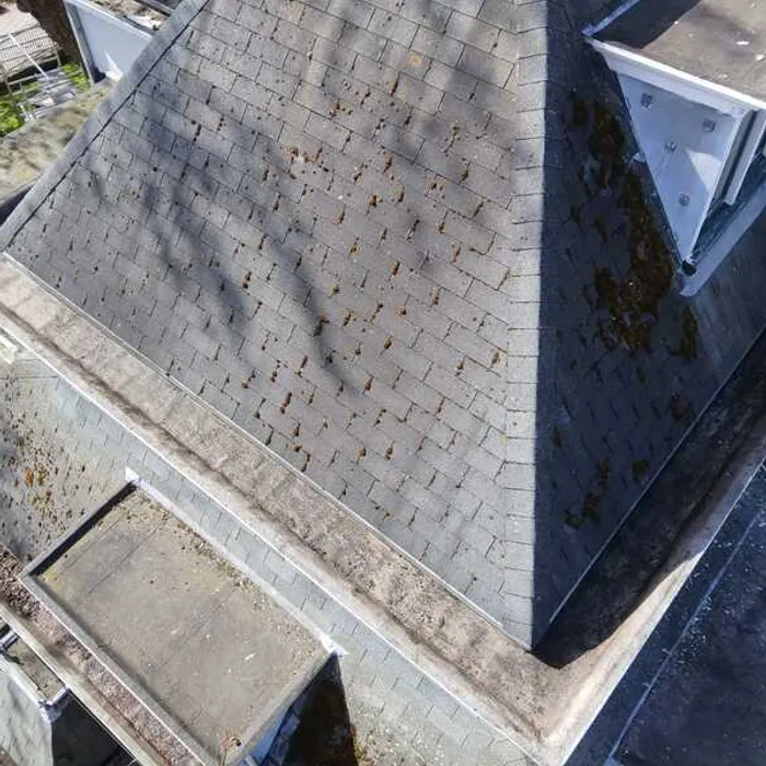 Bovenaanzicht dakbedekking villa Haaksbergerstraat Enschede met zichtbare mosgroei en verwering, geïnspecteerd door Schildersbedrijf Bonke & Zn.